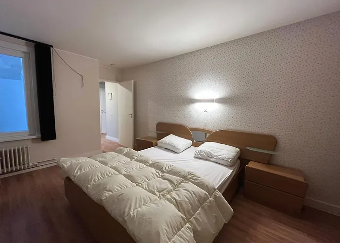 דירה Modern 2-bedroom Within Walking Distance Of The Centre And The T209 בלנקנברג